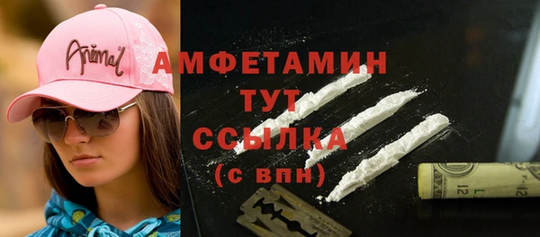 соль ск Арсеньев