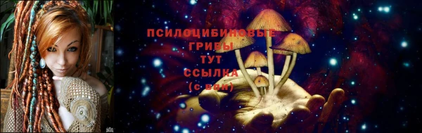 соль ск Арсеньев