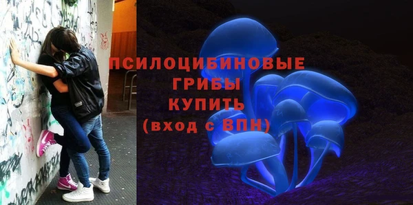 шишки Алексеевка