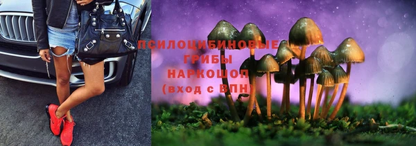 молекула духа Армянск