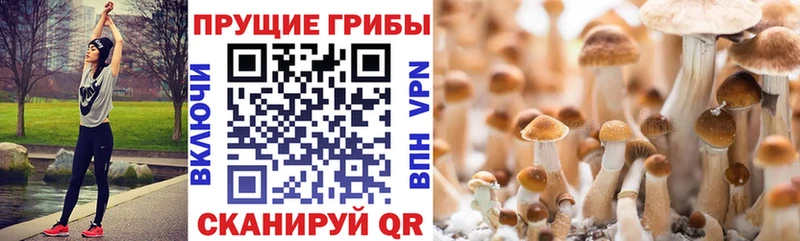 Галлюциногенные грибы мухоморы  даркнет сайт  Иннополис 